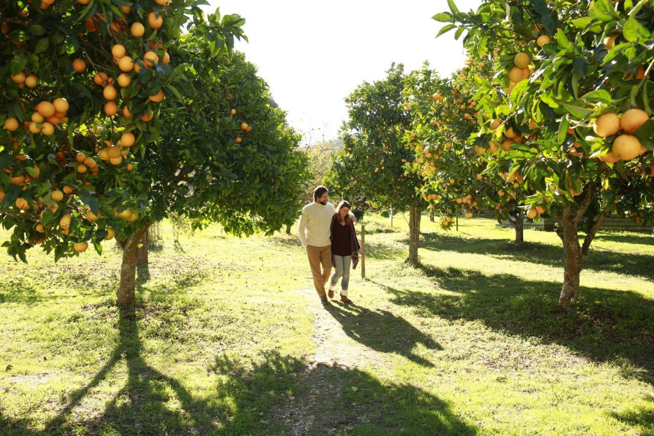 Herdade Da Matinha Country House & Restaurant Cercal do Alentejo Esterno foto